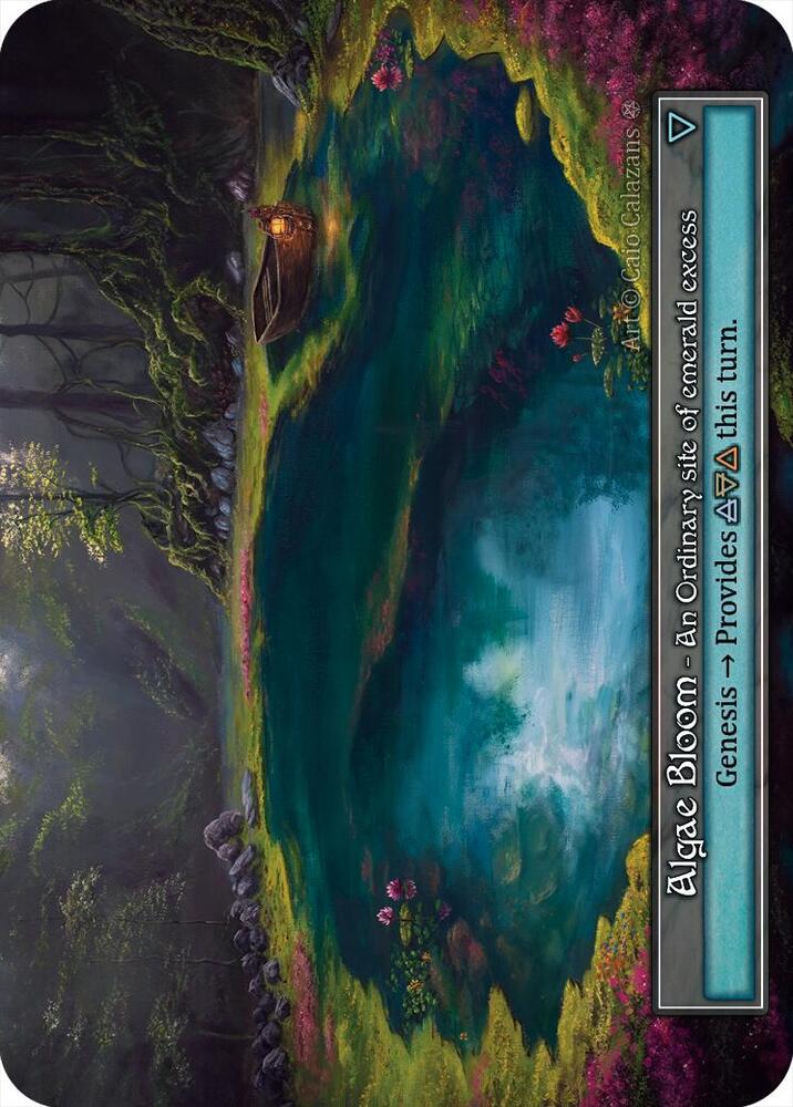 Algae Bloom - Image 2