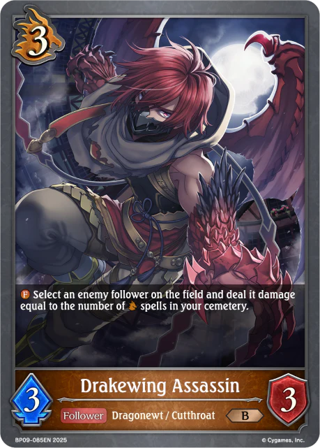 Drakewing Assassin
