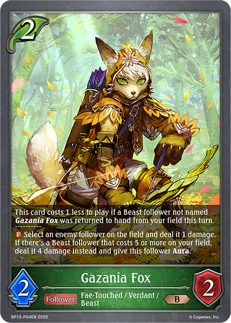 Gazania Fox - Image 2