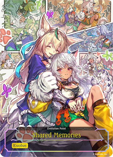 Shared Memories