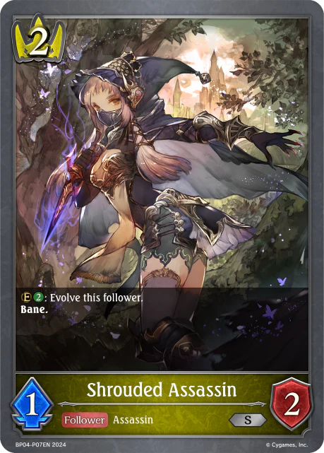 Shrouded Assassin - Image 2