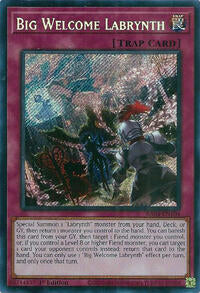 Big Welcome Labrynth - Image 6