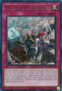 Big Welcome Labrynth - Image 7
