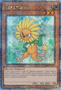 Dandylion - Image 2