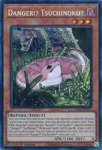 Danger!? Tsuchinoko? - Image 5