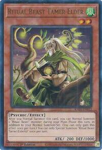 Ritual Beast Tamer Elder - Image 7
