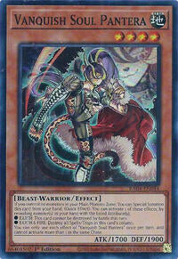 Vanquish Soul Pantera - Image 5